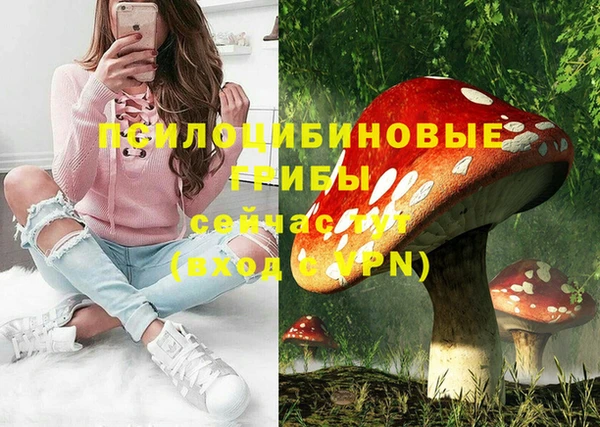 марихуана Дмитровск